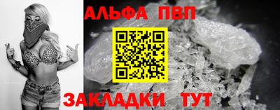 стафф Кингисепп