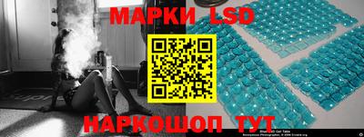 стафф Кингисепп