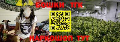 шишки Кимры