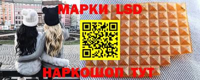 стафф Кингисепп