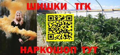 шишки Кимры