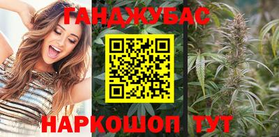 стафф Кингисепп