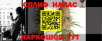 стафф Кингисепп