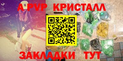 стафф Кингисепп