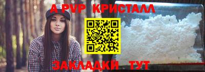 шишки Кимры