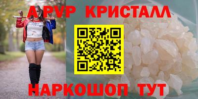 стаф Кинель