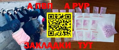 стаф Кинель