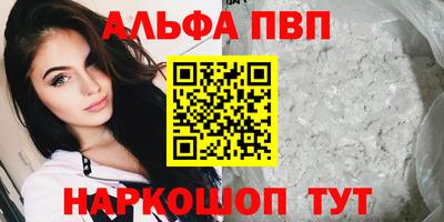 стаф Кинель