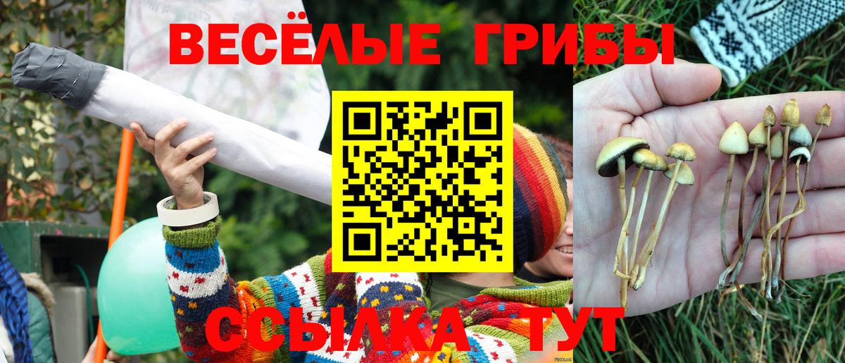 Галлюциногенные грибы мицелий  Вход с VPN  Комсомольск-на-Амуре 